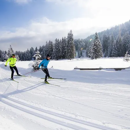 Alpineas Appartement Leutasch