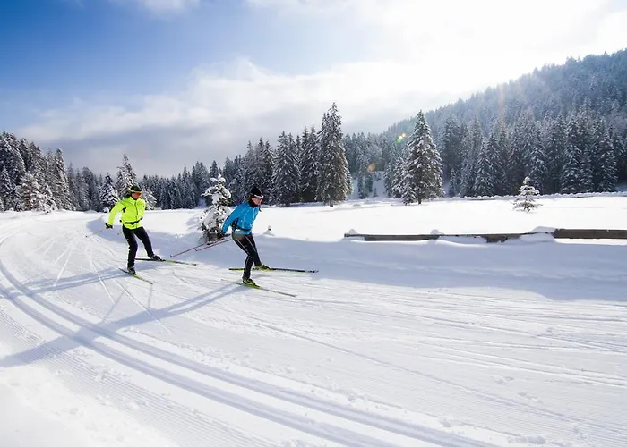 Alpineas Lejlighed Leutasch