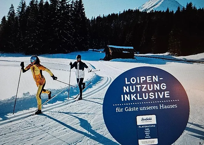 Alpineas Lägenhet *